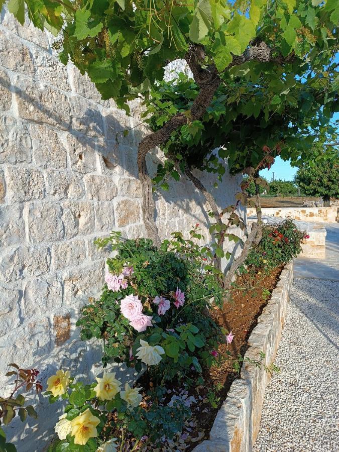 Апартаменты Demetra Trulli Experience Монополи Экстерьер фото